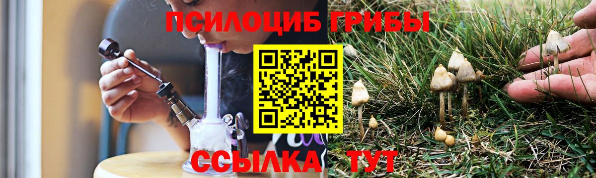 Галлюциногенные грибы прущие грибы Борзя