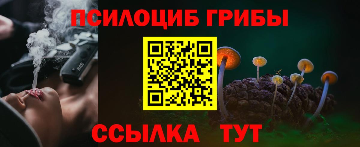 Псилоцибиновые грибы мицелий  Вход с VPN  Борзя  Галлюциногенные грибы GOLDEN TEACHER 
